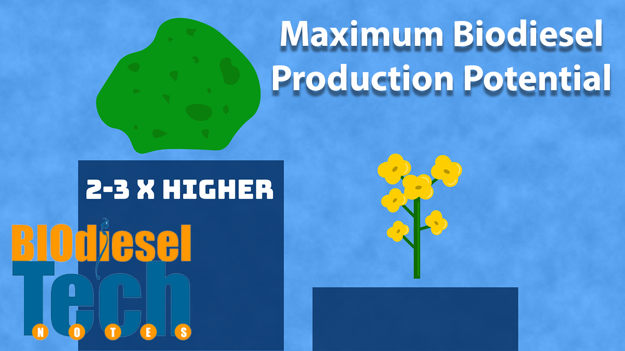 Maximum Potential Biodiesel Production 